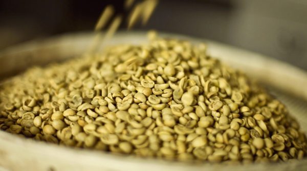 Super Peaberry Green Coffee