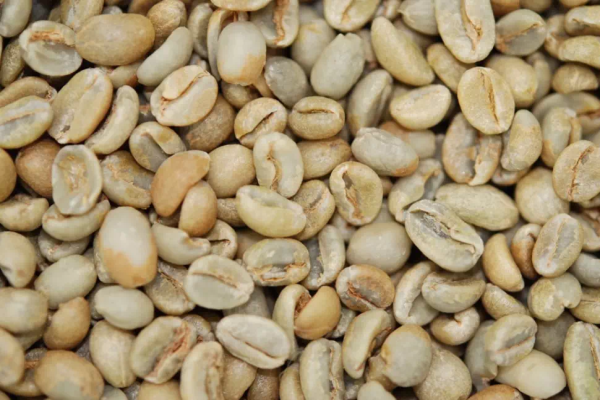 Past Crop Green Coffee Beans